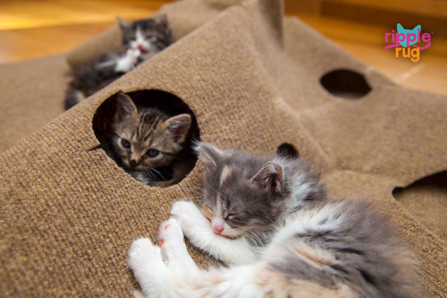 Ripple Rug Cat Activity Mat: Endless Fun for Your Feline!