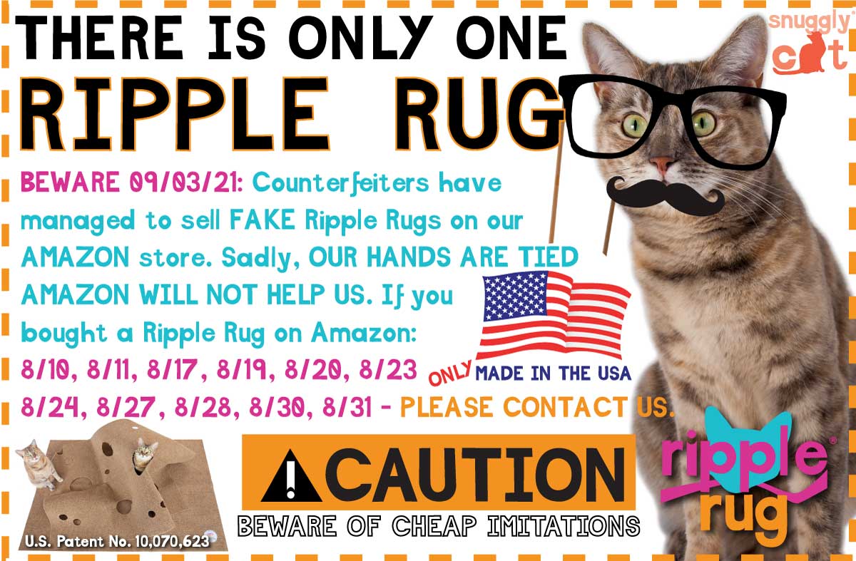 BEWAREhijacjked_AMAZON_RR2-sep3